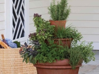 Martha Stewart Herbs Tower